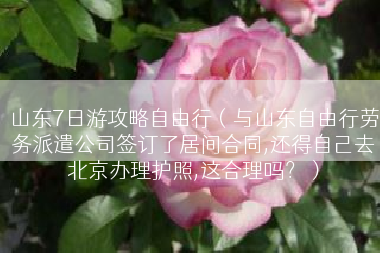 山东7日游攻略自由行（与山东自由行劳务派遣公司签订了居间合同,还得自己去北京办理护照,这合理吗？）