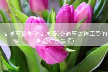 交通事故赔偿交通费(交通事故误工费的赔偿注意事项)