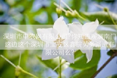 深圳市中农网有限公司?你知道观澜南门这边这个深圳市宝安区鑫皖劳务派遣有限公司么?