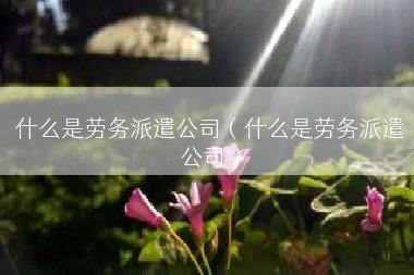 什么是劳务派遣公司（什么是劳务派遣公司）