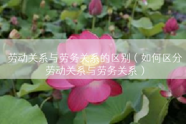 劳动关系与劳务关系的区别（如何区分劳动关系与劳务关系）