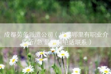 成都劳务派遣公司（成都哪里有职业介绍所/急 最好有电话联系）