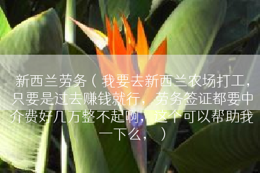 新西兰劳务（我要去新西兰农场打工，只要是过去赚钱就行，劳务签证都要中介费好几万整不起啊，这个可以帮助我一下么，）
