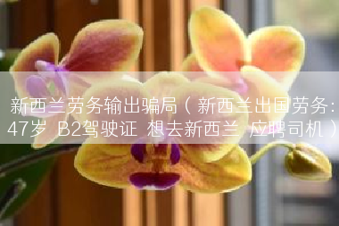新西兰劳务输出骗局（新西兰出国劳务：47岁  B2驾驶证  想去新西兰  应聘司机）