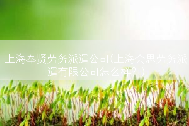 上海奉贤劳务派遣公司(上海会思劳务派遣有限公司怎么样？)