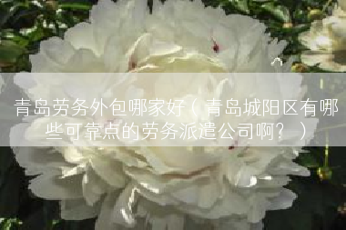 青岛劳务外包哪家好（青岛城阳区有哪些可靠点的劳务派遣公司啊？）