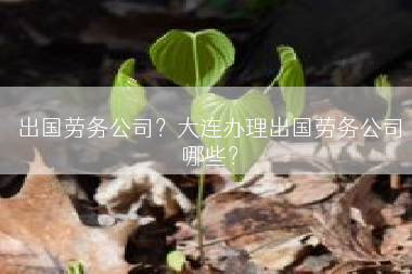 出国劳务公司？大连办理出国劳务公司哪些？