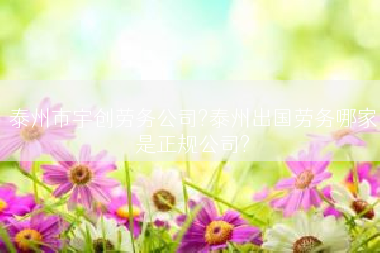 泰州市宇创劳务公司?泰州出国劳务哪家是正规公司?