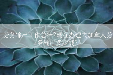 劳务输出工作总结?现在办理去加拿大劳务输出多少钱?