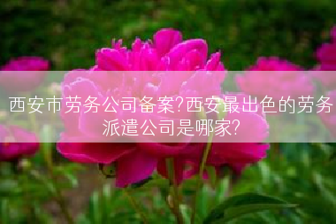 西安市劳务公司备案?西安最出色的劳务派遣公司是哪家?