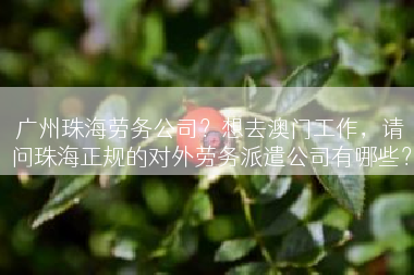 广州珠海劳务公司？想去澳门工作，请问珠海正规的对外劳务派遣公司有哪些？