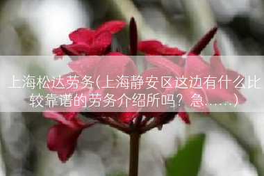 上海松达劳务(上海静安区这边有什么比较靠谱的劳务介绍所吗？急......)