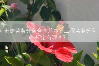 土建劳务分包合同范本？工程劳务分包规定有哪些？