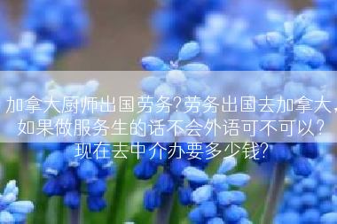 加拿大厨师出国劳务?劳务出国去加拿大，如果做服务生的话不会外语可不可以？现在去中介办要多少钱?
