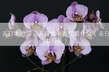 去日本出国劳务面试中要注意什么（去日本劳务）