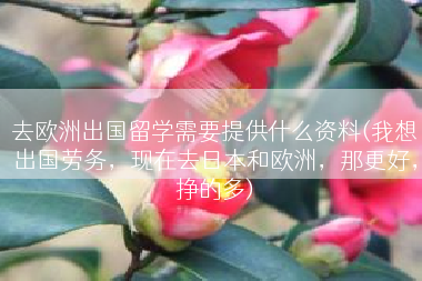 去欧洲出国留学需要提供什么资料(我想出国劳务，现在去日本和欧洲，那更好，挣的多)