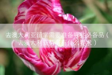 去澳大利亚留学需要准备哪些必备品（去澳大利亚劳务有什么要求）