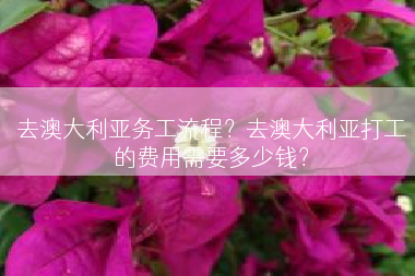去澳大利亚务工流程？去澳大利亚打工的费用需要多少钱？