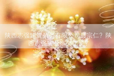 陕西志强建筑劳务有限公司聂宗仁？陕西志强实业拖欠工资？