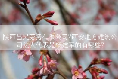 陕西昌昊劳务有限公司?西安地方建筑公司法人代表是杨建军的有哪些?