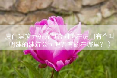 厦门建筑劳务分包合同（在厦门有个叫明建的建筑公司吗？有的在哪里？）