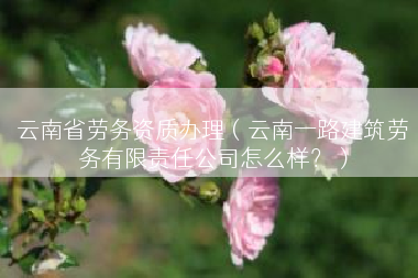 云南省劳务资质办理（云南一路建筑劳务有限责任公司怎么样？）