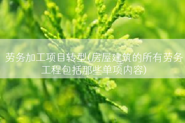 劳务加工项目转型(房屋建筑的所有劳务工程包括那些单项内容)