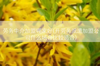 劳务中介加盟哪家好(开劳务派遣加盟公司什么场合比较适合)