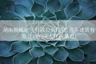湖南振辉电气有限公司(鸿志劳务建筑有限公司的法人代表是谁)