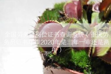 全国劳务员岗位证书查询系统（重庆劳务员证书年审2020年是三年一审还是两年）