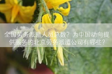 全国劳务派遣人员总数？为中国动向提供服务的北京劳务派遣公司有哪些？