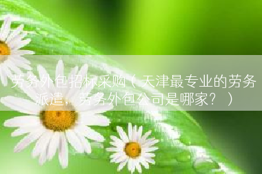 劳务外包招标采购（天津最专业的劳务派遣，劳务外包公司是哪家？）