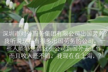 深圳市对外服务集团有限公司出国劳务?我听说现在有很多出国劳务的公司，一些人能够凭借这些公司到国外去工作，而且收入还不错，我现在在上海，?