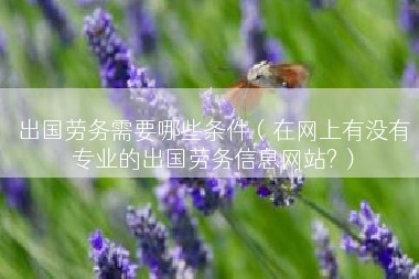 出国劳务需要哪些条件（在网上有没有专业的出国劳务信息网站?）