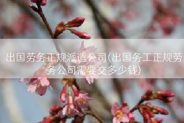 出国劳务正规派遣公司(出国务工正规劳务公司需要交多少钱)
