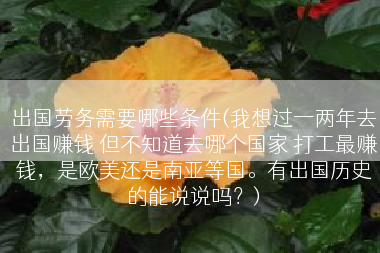 出国劳务需要哪些条件(我想过一两年去出国赚钱 但不知道去哪个国家 打工最赚钱，是欧美还是南亚等国。有出国历史的能说说吗？)