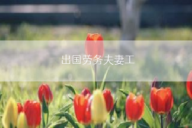 出国劳务夫妻工