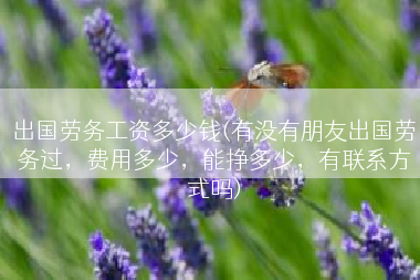 出国劳务工资多少钱(有没有朋友出国劳务过，费用多少，能挣多少，有联系方式吗)