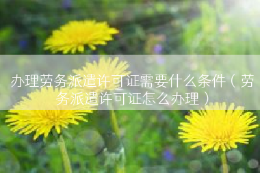 办理劳务派遣许可证需要什么条件（劳务派遣许可证怎么办理）