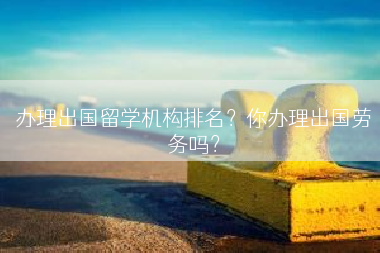 办理出国留学机构排名？你办理出国劳务吗？