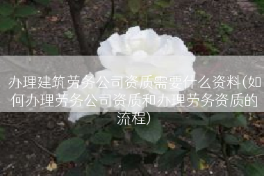 办理建筑劳务公司资质需要什么资料(如何办理劳务公司资质和办理劳务资质的流程)