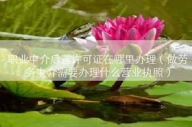职业中介后置许可证在哪里办理（做劳务中介需要办理什么营业执照）
