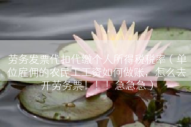 劳务发票代扣代缴个人所得税税率（单位雇佣的农民工工资如何做账，怎么去开劳务票！！！急急急）