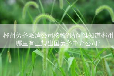 郴州劳务派遣公司核验?请问谁知道郴州哪里有正规出国劳务中介公司?