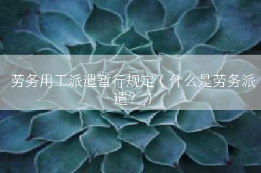 劳务用工派遣暂行规定（什么是劳务派遣？）