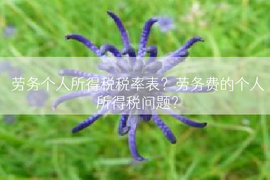 劳务个人所得税税率表？劳务费的个人所得税问题？