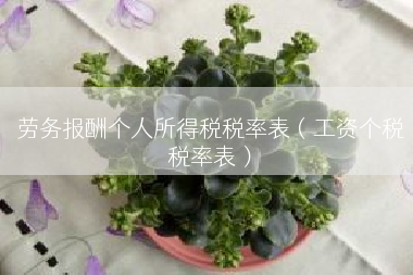 劳务报酬个人所得税税率表（工资个税税率表）