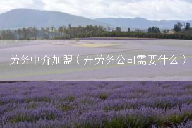 劳务中介加盟（开劳务公司需要什么）