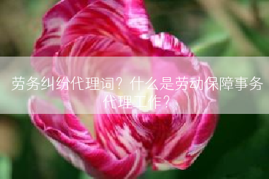 劳务纠纷代理词？什么是劳动保障事务代理工作？