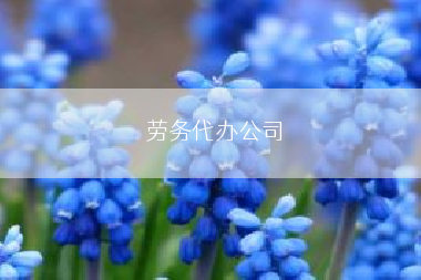 劳务代办公司